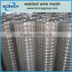 Galvanized Welded Wire Mesh 2x2 thumbnail-1
