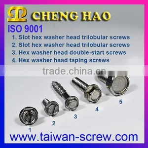 High Quality Lowest Price Stainless Hex Bolts A2-70 thumbnail-6