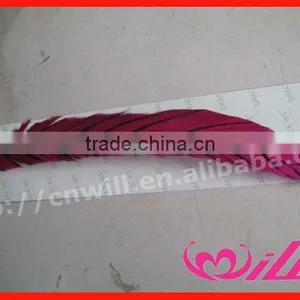 Fashion Crazy Big Feather Feather Hair Extension Clip In Feather Headwear Hair Extension thumbnail-1