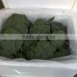 Broccoli thumbnail-1