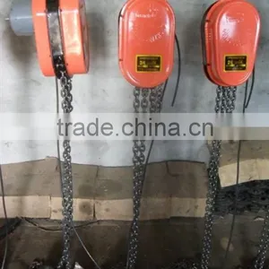 DHS Type Heavy Duty Electric Chain Hoists thumbnail-1