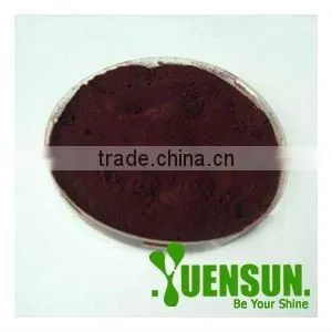 Freeze Dried Powder Acai Berry Extract 4:1 thumbnail-1