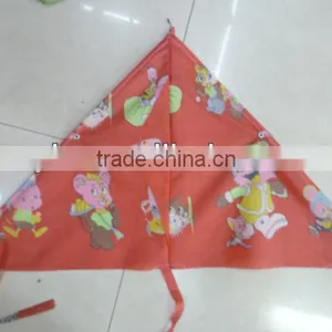 Kites thumbnail-1