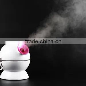 Professional Manufacture Supply Portable Electric Nano Ionic Facial Mist Steamer for Face and Hair thumbnail-5