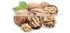 Walnut Kernels thumbnail-1