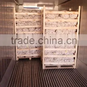 Wholesale Garlic Pure White Garlic 4.5cm-5cm thumbnail-2