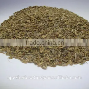 Dill Seeds TBC thumbnail-5