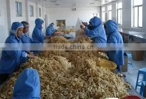 Qingdao Kington Produce Co., Ltd. company overview - view 4 thumbnail