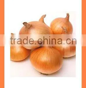 Fresh New Crop Yellow Onion PRODUCTS From China thumbnail-1