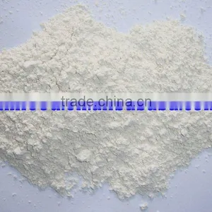 Garlic Powder of Dehydrated thumbnail-1