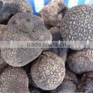 Frozen Black Truffle Grade A thumbnail-3
