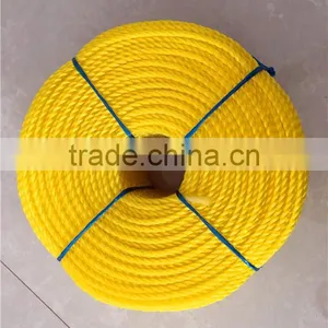 PE/PP Colorful Rope Made In Linyi Dongtalent With High Quality thumbnail-3