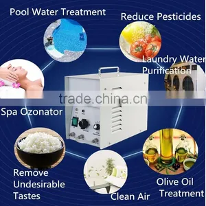 5g/h Air Purificatoire Kill Virus et Odeur 99 Ozone Air Purification Equipment thumbnail-6