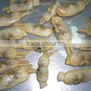 Frozen Razor Clam for Sale thumbnail-1