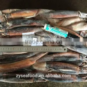 HACCP Frozen Cargo Argentine Squid by Glazing thumbnail-1
