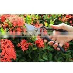 Quality Garden Tools Inc. company overview - view 1 thumbnail