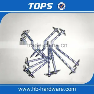 China Umbrella Head Roofing Nails thumbnail-4