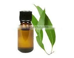 Eucalyptus Oil thumbnail-2