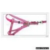 Sell Pet Lanyard thumbnail-1