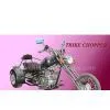 Sell Sell 250cc Trike Chopper thumbnail-1