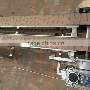 Empty Bottle Conveyor thumbnail-1