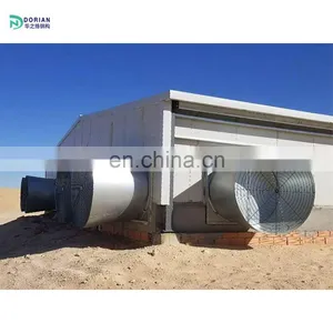 Automatic Fully Equipped Farm House Ready for Chicken House thumbnail-5