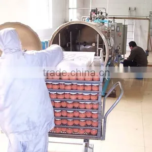 Sterilization Kettle Autoclave thumbnail-3