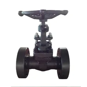 ANSI A105 Forged Steel Gate Valve Flanged Manual Operated High Pressure Forged Gate Valve for Industrial Applications thumbnail-1