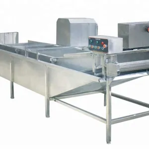 Automatic High Pressure Washer/commercial Fruit Vegetable Washer/leafy Vegetable Washing Machine Prices thumbnail-4