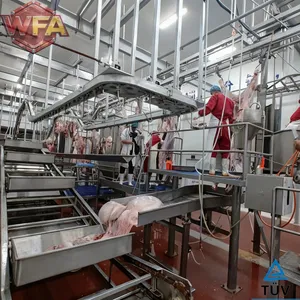 USDA Standard Slaughterhouse Equipment Cattle Slaughter Line Machine Cow Beef Turkey Slaughter House Machinery thumbnail-5