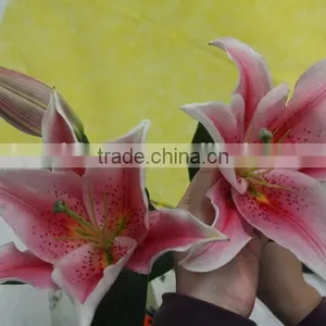 Colorful Best Selling High Quality Flowers Liliess thumbnail-4