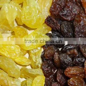 Golden Raisin Yellow Raisin Green Raisin thumbnail-4