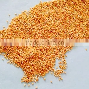 Maiduguri Nigeria White African Sesame Seed FOB CIF CFR CIP World-wide Sales thumbnail-1