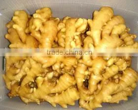 Organic Ginger Supplier thumbnail-2