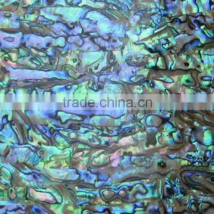 Hot Sale Abalone Shell Sheet thumbnail-1