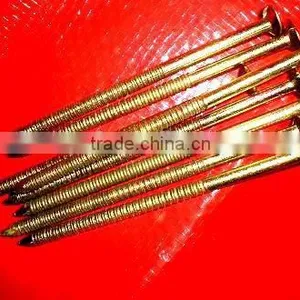 Ethiopia Market Good Quanlity Galvanized Twisted Nails thumbnail-3