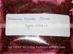 Gloriosa Superba Seed Exporters India thumbnail-5