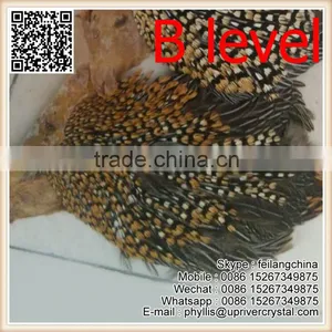 Party Headdress Clothes Decoration Jungle Cock Quality Choice thumbnail-3
