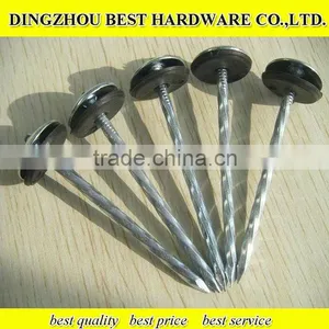 Umbrella Galvanized Twist Shank Roofing Nails thumbnail-1