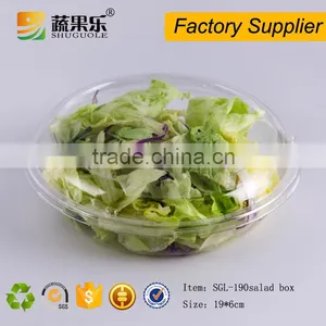 Disposable Plastic Fresh Salad Packing Container With Clear Hinged Lid thumbnail-1