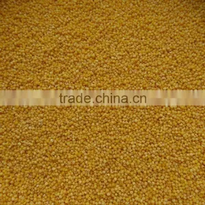 Yellow Millet With Good Manufacturer thumbnail-1
