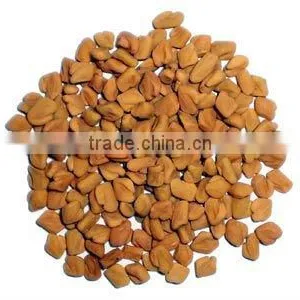 Fenugreek Seed thumbnail-2
