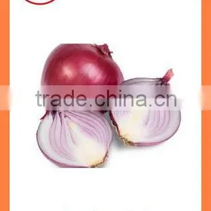 Fresh New Crop Onion PRODUCTS From China thumbnail-3