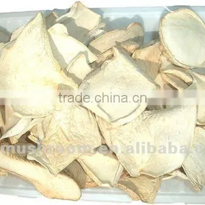 Dried Mushroom thumbnail-1