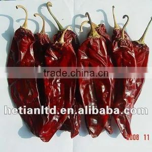 160 ASTA Paprika Pod With Stem thumbnail-1