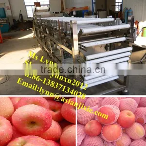 Potato Sorter/industrial Fruit Potato Sorting Machine thumbnail-2