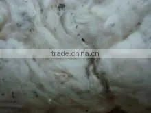 Cotton Yarn thumbnail-3