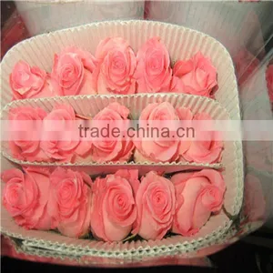 Wholesale Fresh Cut Rose Flowers for Wedding thumbnail-3