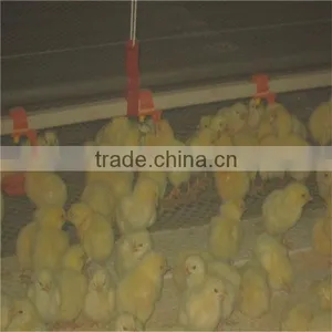 Chicken Automatic Drinker thumbnail-4