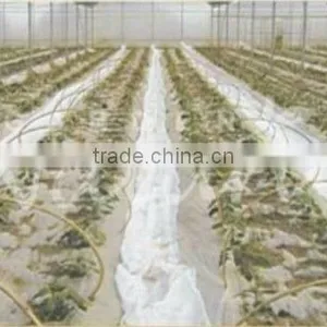 Plant Cover thumbnail-1